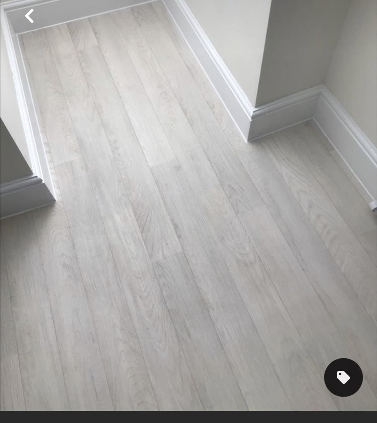 باركيه بلجيكي