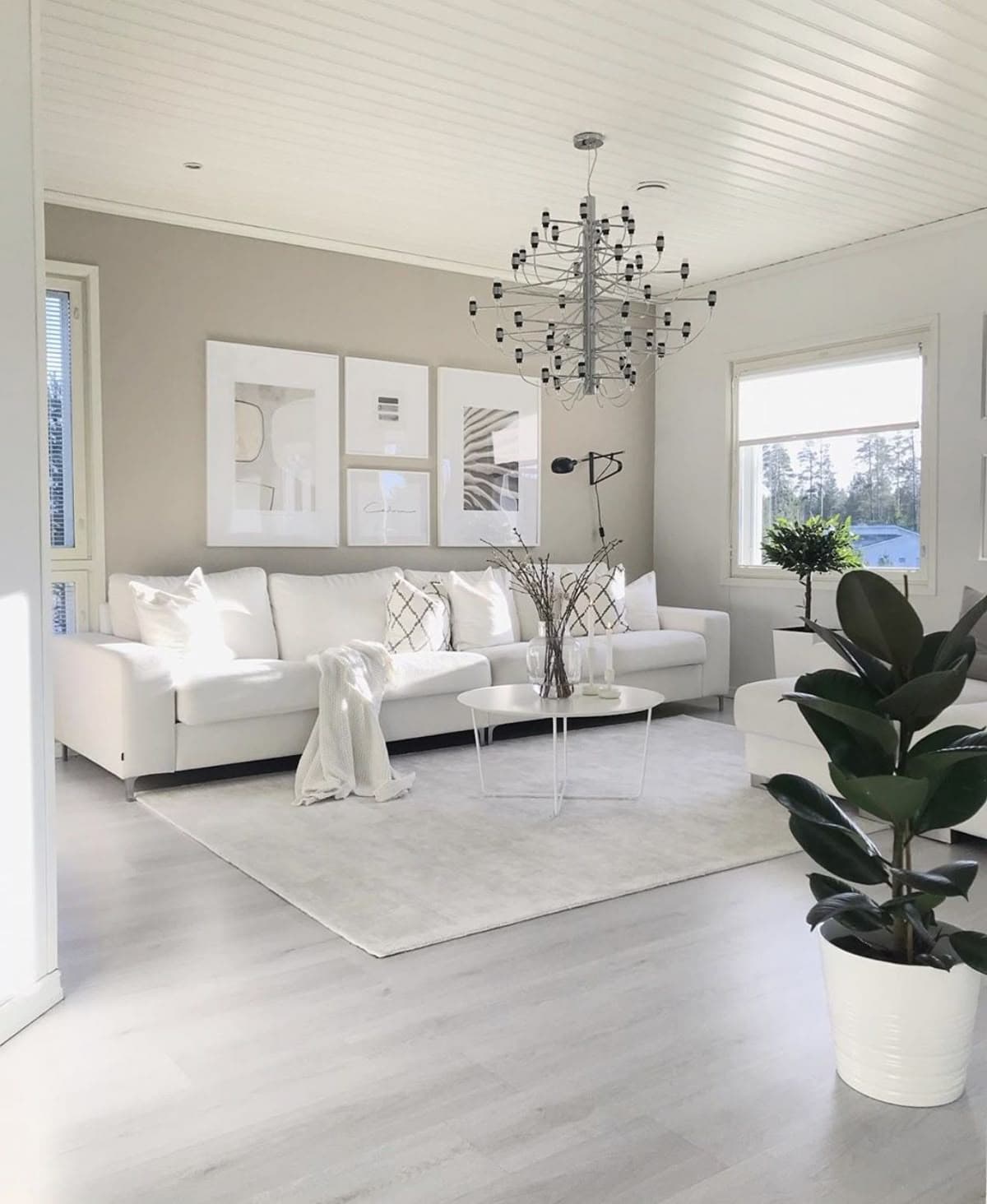 باركيه تركي